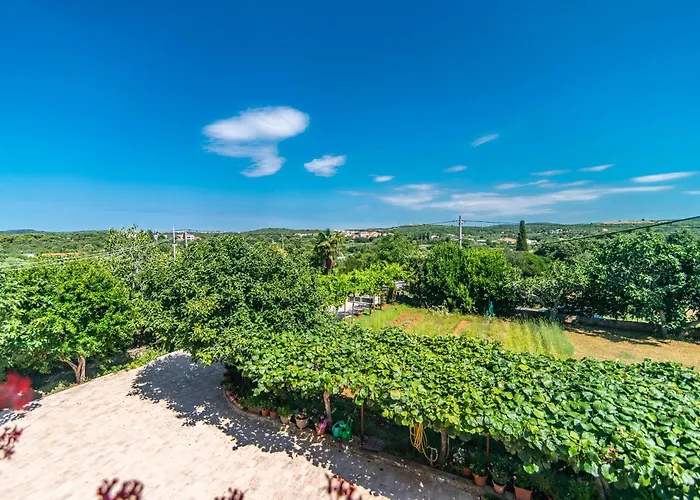 Casa de Férias Maria Nives *